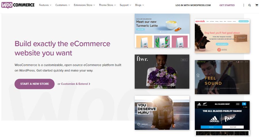 Best Woocommerce Plugins