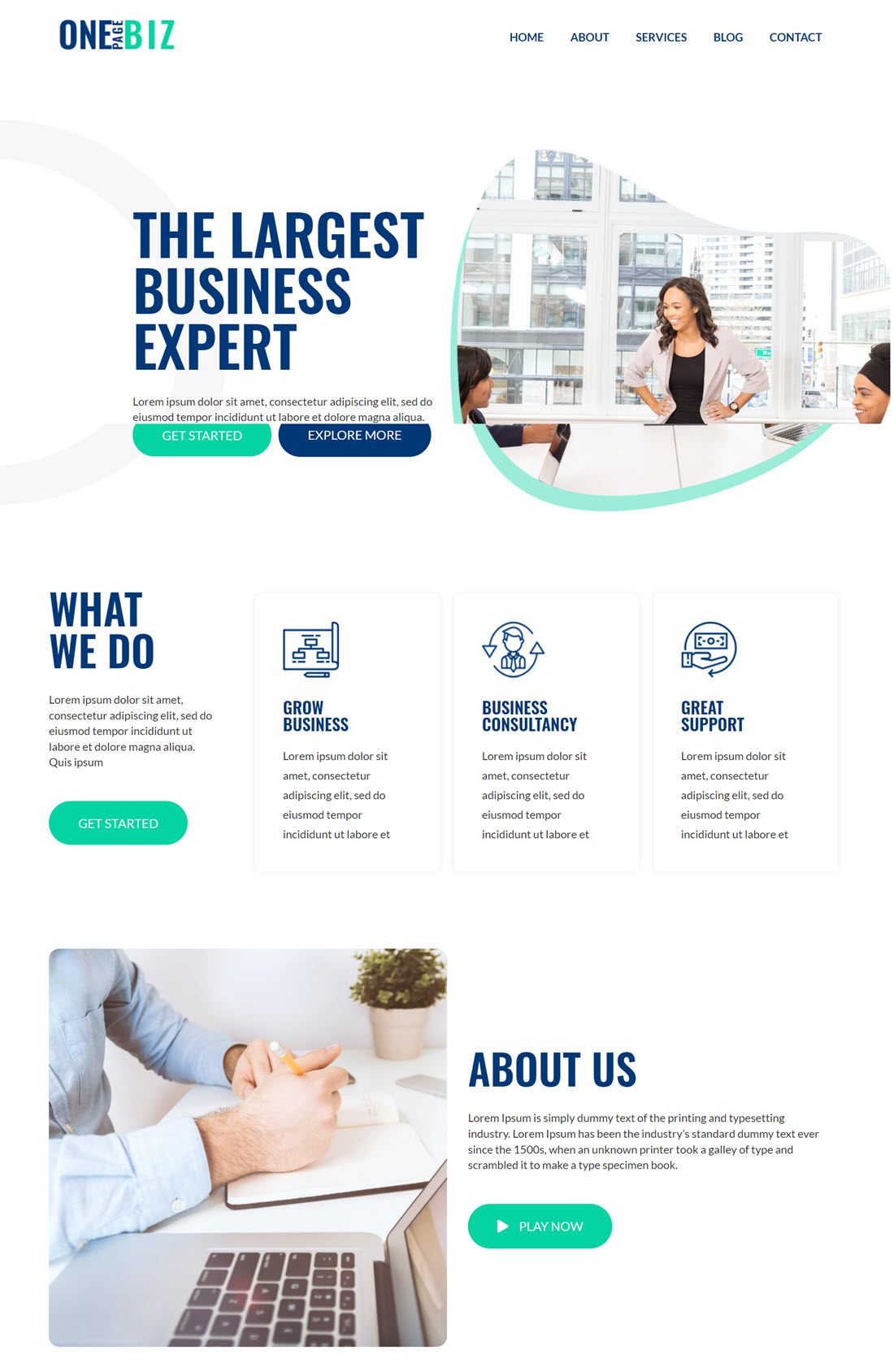 Business One Page WordPress Themes Example
