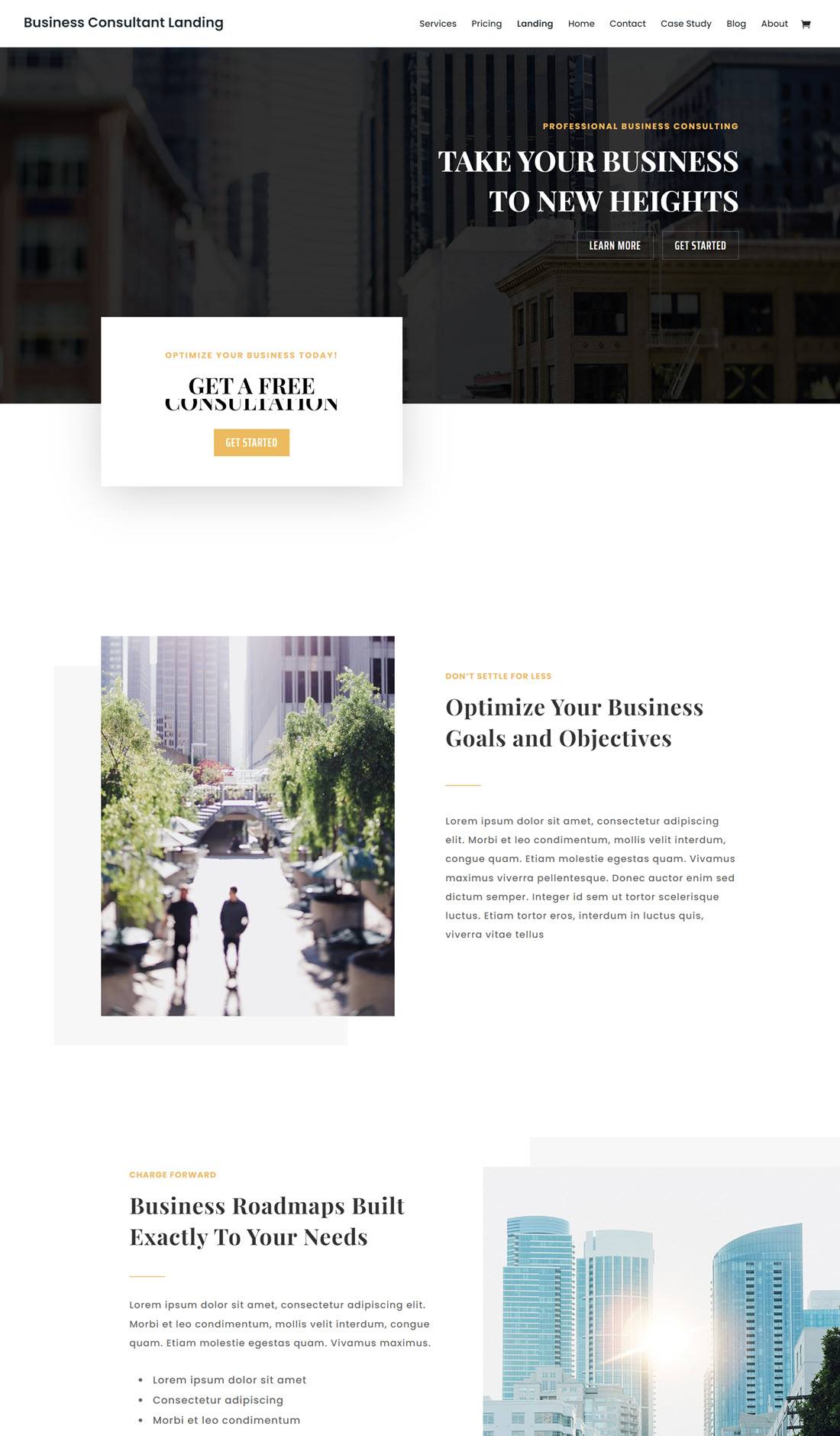 Divi Business WordPress Themes Screenshot