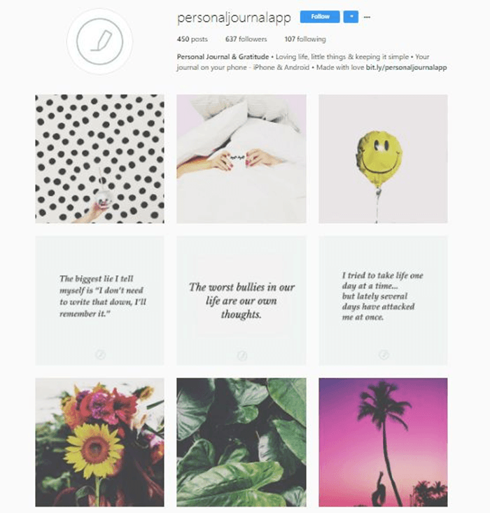 Instagram Horizontal Line Theme