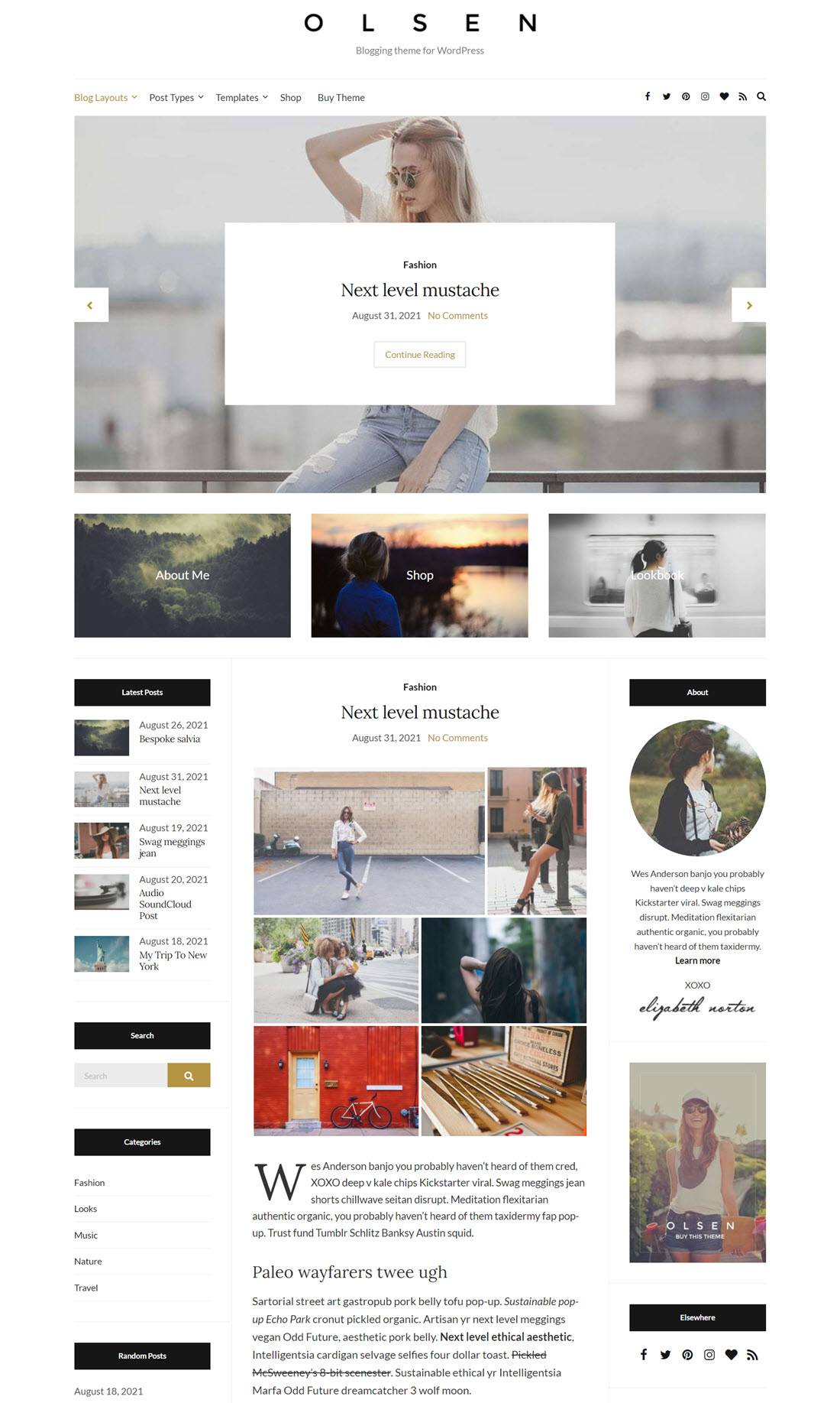 Olsen Pro Blog WordPress Themes Screenshot