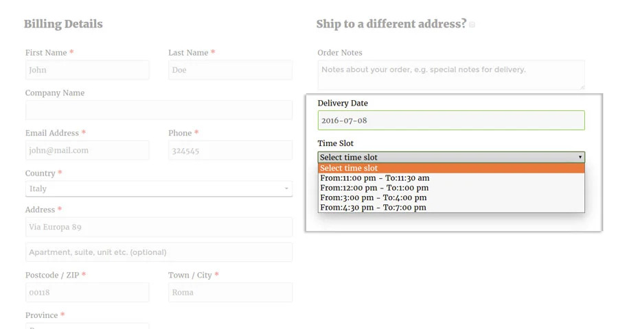 Delivery Date Slot Time Checkout Page