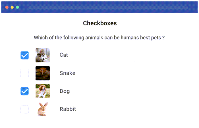 Checkboxes Quiz Demo