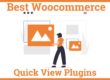 Best WooCommerce Quick View Plugins